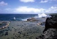 © Copyright - Raphael Kessler 2011 - Tonga - Blow holes along the coast