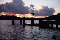© Copyright - Raphael Kessler 2011 - Tonga - Vava'u - Boys diving from the pier at sunset