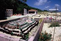 © Copyright - Raphael Kessler 2011 - Tonga - Ornately decorated graves