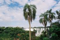 © Copyright - Raphael Kessler 2011 - Argentina - Iguacu