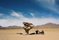 © Copyright - Raphael Kessler 2011 - Bolivia - Desert - Arbol de Piedra - Rock tree