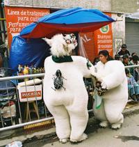 © Copyright - Raphael Kessler 2011 - Bolivia - Oruro Carnaval - Bears having a break