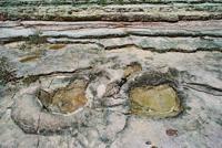 © Copyright - Raphael Kessler 2011 - Bolivia - Torotoro National Park - Ictheosaurus dinosaur tracks