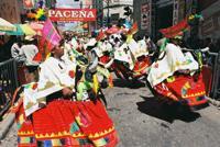 © Copyright Raphael Kessler - Bolivia - Bulls