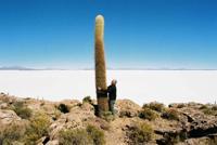 © Copyright - Raphael Kessler 2011 - Bolivia - Salar de Uyuni - Cactus shagger