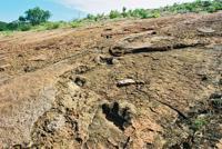 © Copyright Raphael Kessler - Bolivia - Carnosaurus