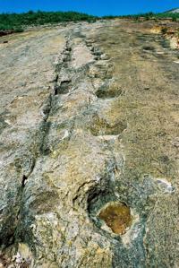 © Copyright Raphael Kessler - Bolivia - Carno tracks
