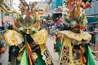 © Copyright - Raphael Kessler 2011 - Bolivia - Oruro Carnaval - Dragon costume