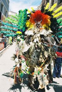 © Copyright - Raphael Kessler 2011 - Bolivia - Oruro Carnaval - Wearing old animal skins