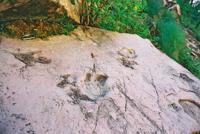 © Copyright Raphael Kessler - Bolivia - Rock tracks