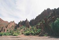 © Copyright Raphael Kessler - Bolivia - Spikey