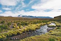 © Copyright Raphael Kessler - Bolivia - Stream