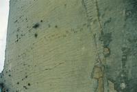 © Copyright - Raphael Kessler 2011 - Bolivia - Sucre - Dinosaur tricks