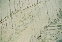 © Copyright - Raphael Kessler 2011 - Bolivia - Sucre - Dinosaur tricks