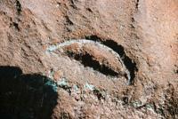 © Copyright - Raphael Kessler 2011 - Bolivia - Torotoro National Park - Fossilised turtle shell