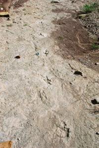 © Copyright - Raphael Kessler 2011 - Bolivia - Torotoro National Park - Veloceraptor dinosaur tracks