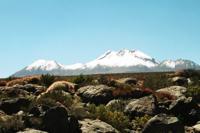 © Copyright - Raphael Kessler 2011 - Chile - Torres del Paine - Altiplano