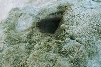 © Copyright Raphael Kessler - Chile - Geyser Hole