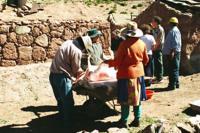 © Copyright - Raphael Kessler 2011 - Chile - Desert - Gutting a sheep
