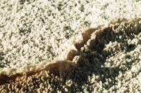 © Copyright - Raphael Kessler 2011 - Chile - Altiplano salt lakes - Salt close up