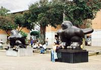 © Copyright Raphael Kessler - Colombia - Birds