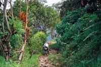 © Copyright Raphael Kessler 2011 - Antioquia - Campesino walking away
