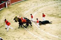 © Copyright Raphael Kessler - Colombia - Drag