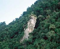 © Copyright Raphael Kessler - Colombia - Face