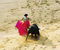 © Copyright Raphael Kessler 2011 - Cali - The bull's head down