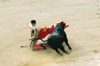 © Copyright Raphael Kessler - Colombia - Kneeling