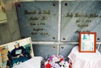 © Copyright Raphael Kessler 2011 - Cali - Turning the bull