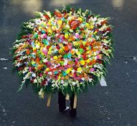 © Copyright Raphael Kessler - Colombia - Silla