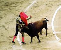 © Copyright Raphael Kessler - Colombia - Sword