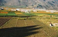 © Copyright - Raphael Kessler 2011 - Norway - Flam fields