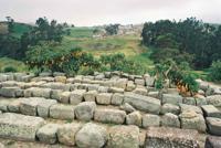 © Copyright - Raphael Kessler 2011 - Ecuador -  flowers