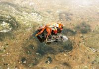 © Copyright - Raphael Kessler 2011 - Ecuador - Galapagos - Sally lightfoot crab