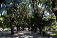 © Copyright - Raphael Kessler 2014 - Argentina - Buenos Aires - Parque San Martin