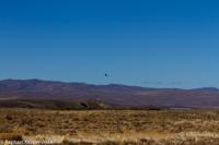 © Copyright - Raphael Kessler 2014 - Argentina - Chubut