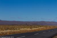 © Copyright - Raphael Kessler 2014 - Argentina - Chubut