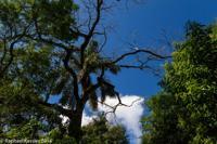 © Copyright - Raphael Kessler 2014 - Argentina - Iguazu