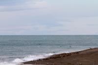 © Copyright - Raphael Kessler 2014 - Argentina - Peninsula Valdes - Orcas