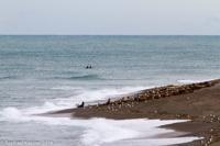 © Copyright - Raphael Kessler 2014 - Argentina - Peninsula Valdes - Orcas