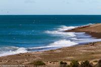 © Copyright - Raphael Kessler 2014 - Argentina - Peninsula Valdes