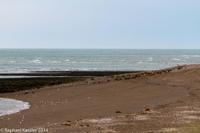 © Copyright - Raphael Kessler 2014 - Argentina - Peninsula Valdes