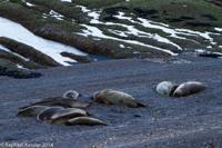© Copyright - Raphael Kessler 2014 - Argentina - Peninsula Valdes