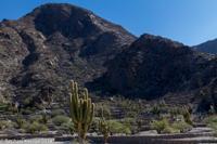 © Copyright - Raphael Kessler 2014 - Argentina - Qulmes