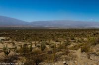 © Copyright - Raphael Kessler 2014 - Argentina - Qulmes