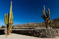 © Copyright - Raphael Kessler 2014 - Argentina - Qulmes