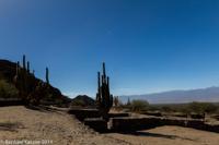 © Copyright - Raphael Kessler 2014 - Argentina - Qulmes