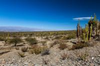 © Copyright - Raphael Kessler 2014 - Argentina - Qulmes